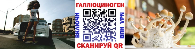 Псилоцибиновые грибы Psilocybe  Купить  Ишим 